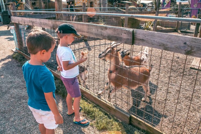 Ideja za enodnevni izlet v Sloveniji Mini ZOO land Družinski izleti